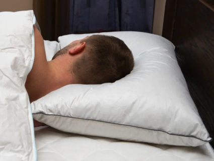 Подушка Nature’S-Natura Sanat Мужская упругая 50х70