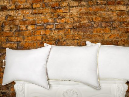 Подушка Nature’S-Natura Sanat Ружа 70х70