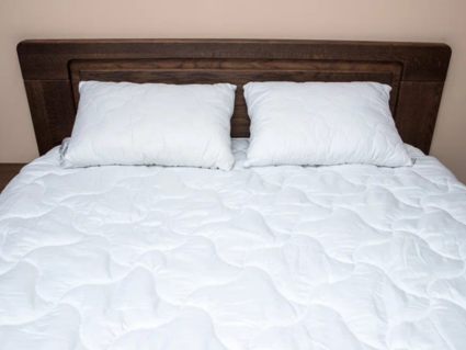 Подушка Nature’S-Natura Sanat Бархатный Бамбук