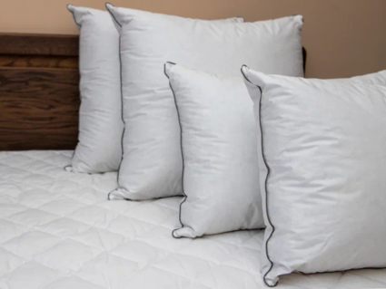 Подушка Nature’S-Natura Sanat Мужская упругая 50х70