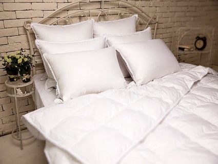 Подушка Nature’S-Natura Sanat Идеальное приданое упругая 50х70